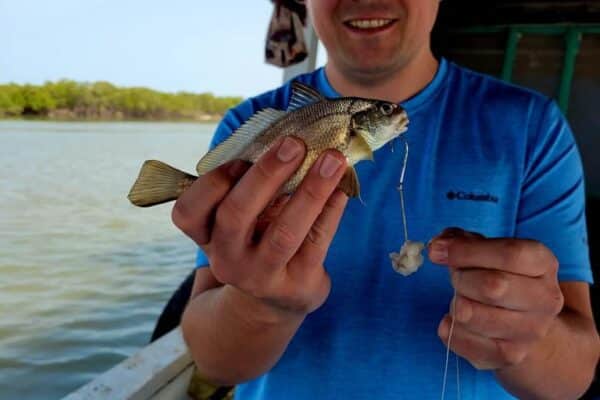 gambia river excursions